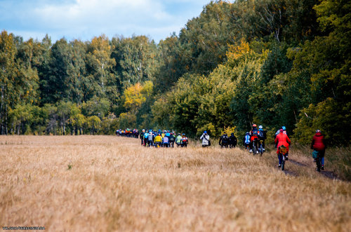 Без имени-17.jpg