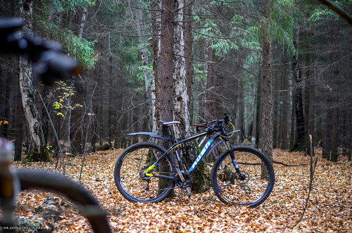 Без имени-6.jpg