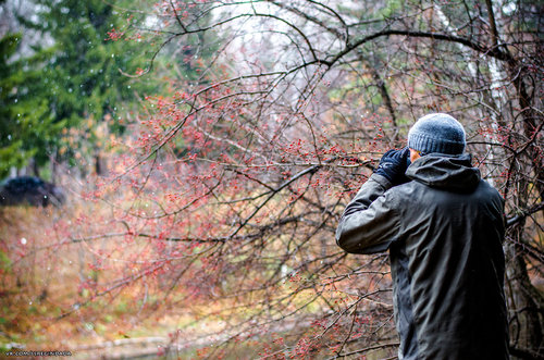 Без имени-55.jpg