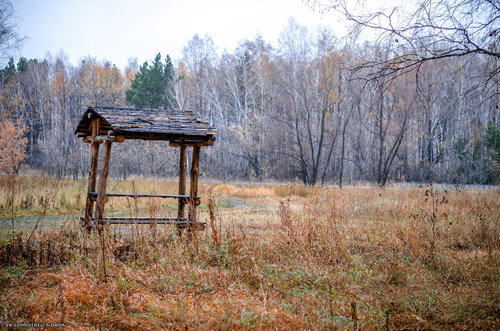 Без имени-73.jpg