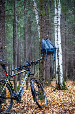 Без имени-7.jpg