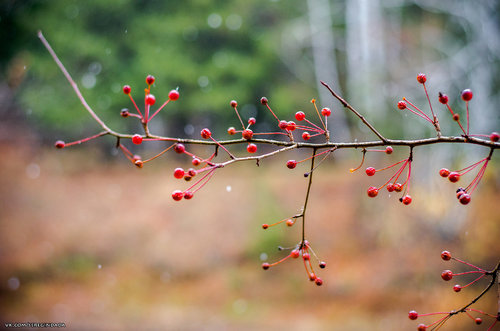 Без имени-54.jpg