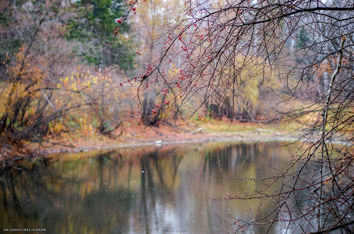 Без имени-56.jpg