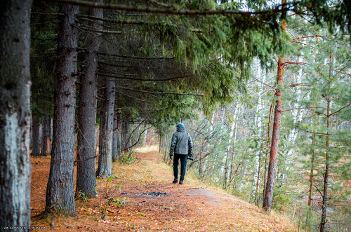 Без имени-64.jpg