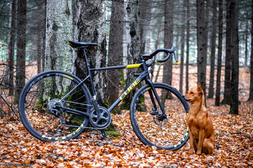 Без имени-68.jpg