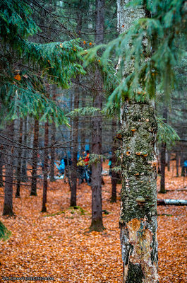 Без имени-52.jpg