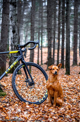 Без имени-66.jpg