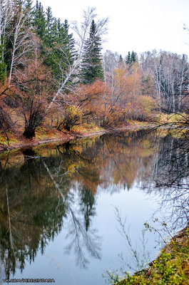 Без имени-65.jpg