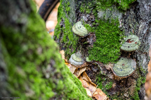 Без имени-18.jpg