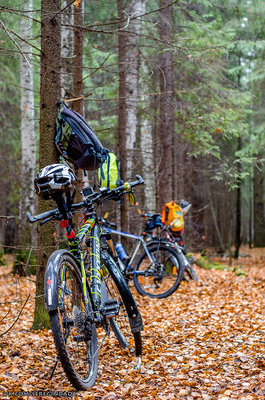 Без имени-45.jpg