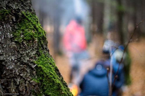 Без имени-24.jpg