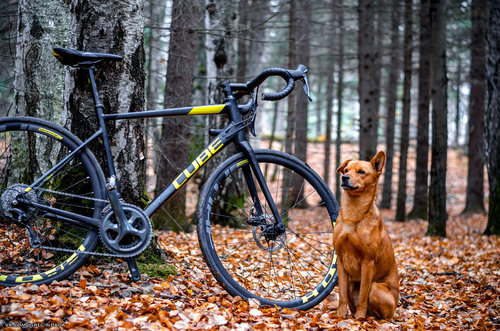 Без имени-67.jpg