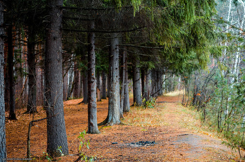 Без имени-51.jpg