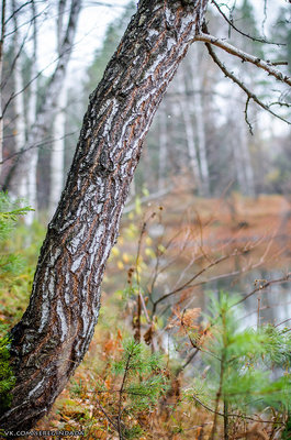 Без имени-59.jpg