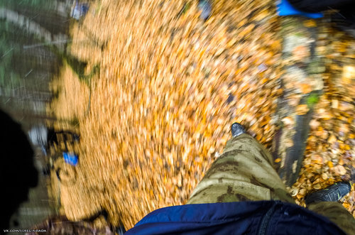 Без имени-75.jpg