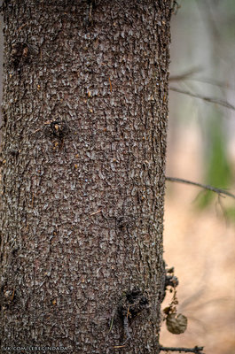 Без имени-27.jpg