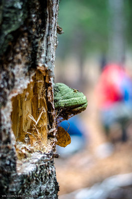 Без имени-17.jpg