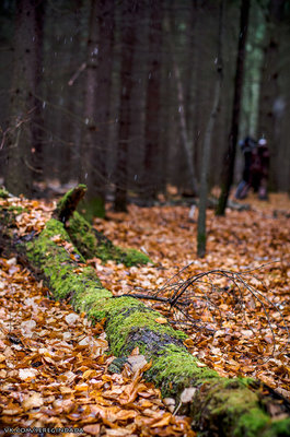 Без имени-49.jpg