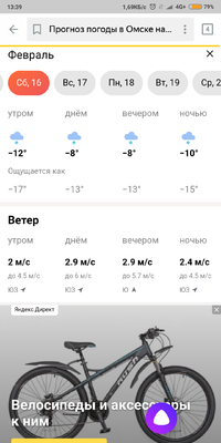 Screenshot_2019-02-11-13-39-28-121_ru.yandex.searchplugin.png