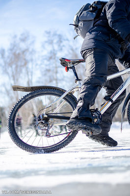 Без имени-21.jpg