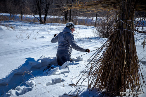 Без имени-49.jpg