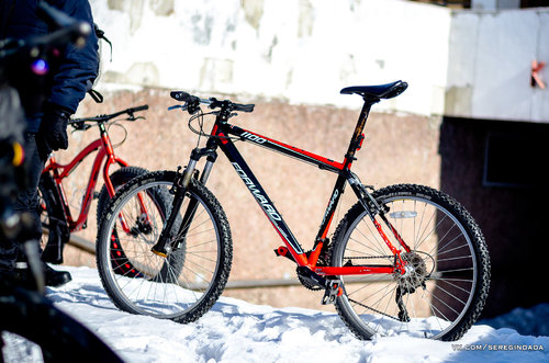 Без имени-3.jpg