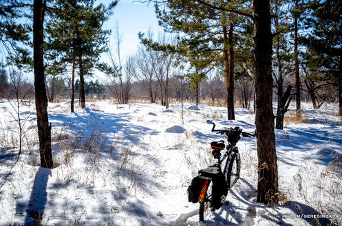 Без имени-30.jpg