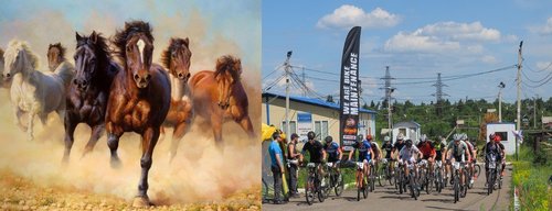 Без имени.jpg