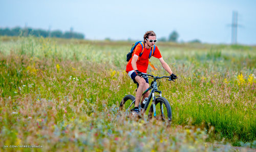 Без имени-20.jpg