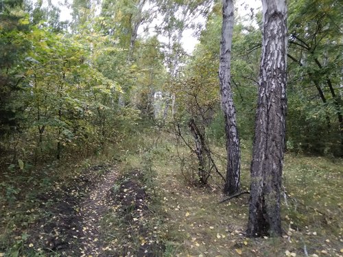 IMG_20190912_162047 (1).jpg