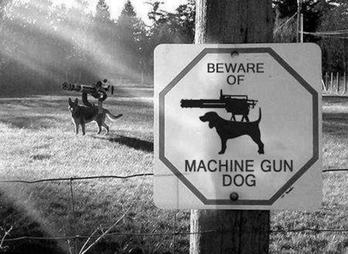 military-humor-funny-sign-machine-gun-dog.thumb.jpg.89ed76fded0c24dd2a9d2e477f2aa921.jpg