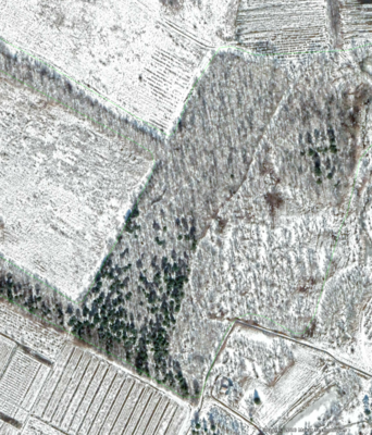 Screenshot 2020-05-28 at 14.52.10.png