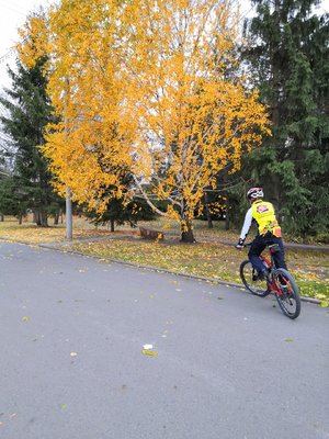 2020-10-17 17-07-33_1602933384669.JPG