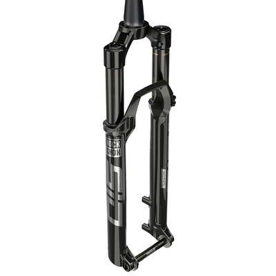 rockshox-sid-ultimate-race-day-black-01-813492.thumb.jpg.a61b3e465242ed213fd6e16530e7bf0a.jpg