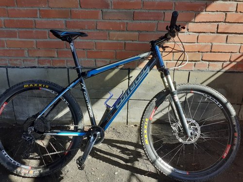 20210410_140416 (1).jpg