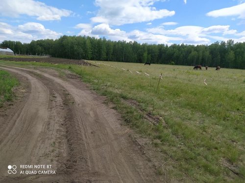 photo_2021-06-13_12-52-25 (2).jpg