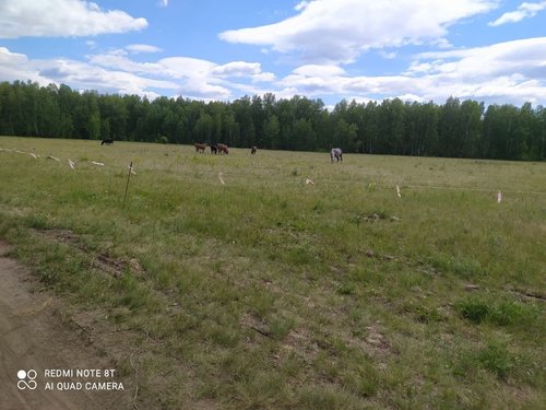 photo_2021-06-13_12-52-25 (3).jpg