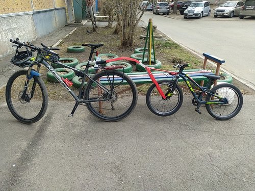 трейл эйнджел.jpg