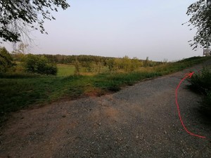 WhatsApp Image 2022-08-08 at 17.21.34 (1).jpeg